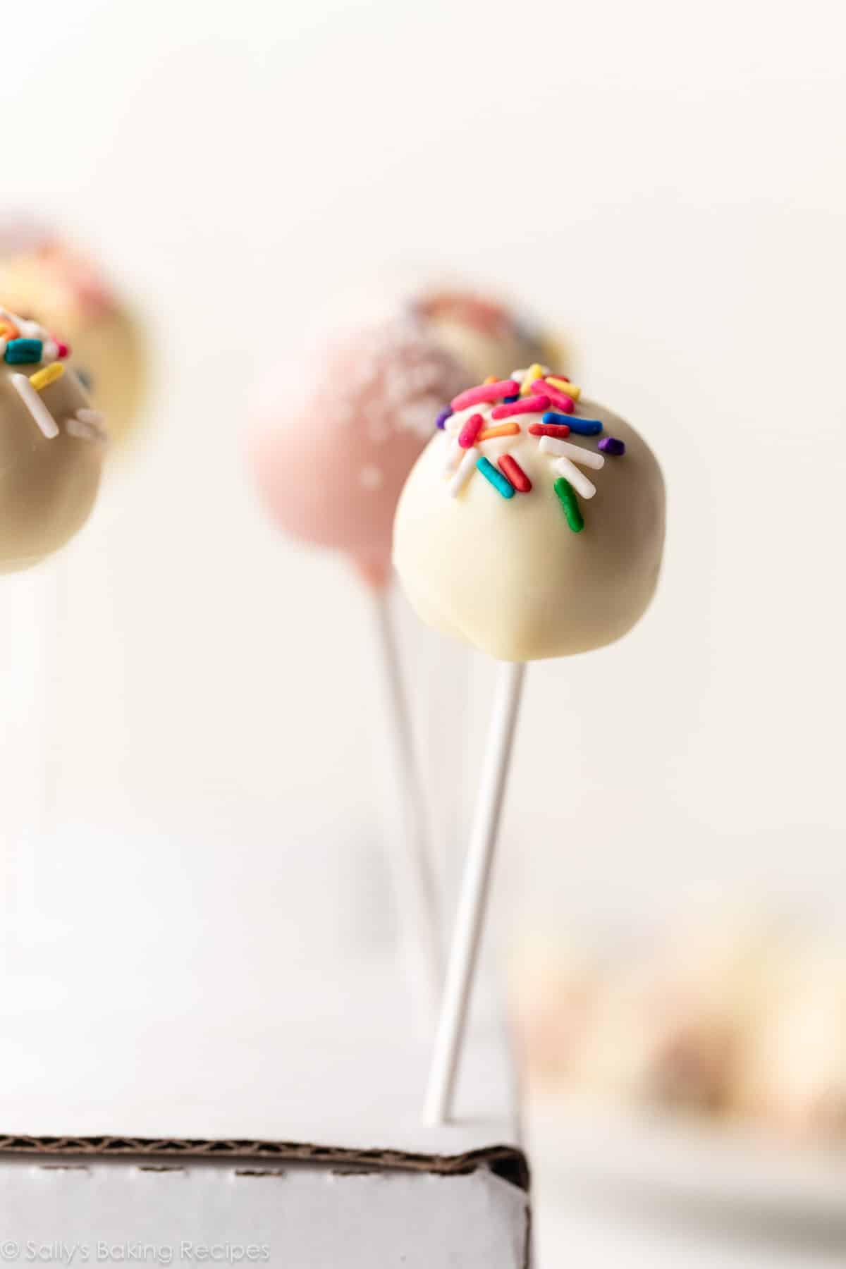 cake pop à la vanille avec des vermicelles multicolores se tenant debout sur une boîte blanche.