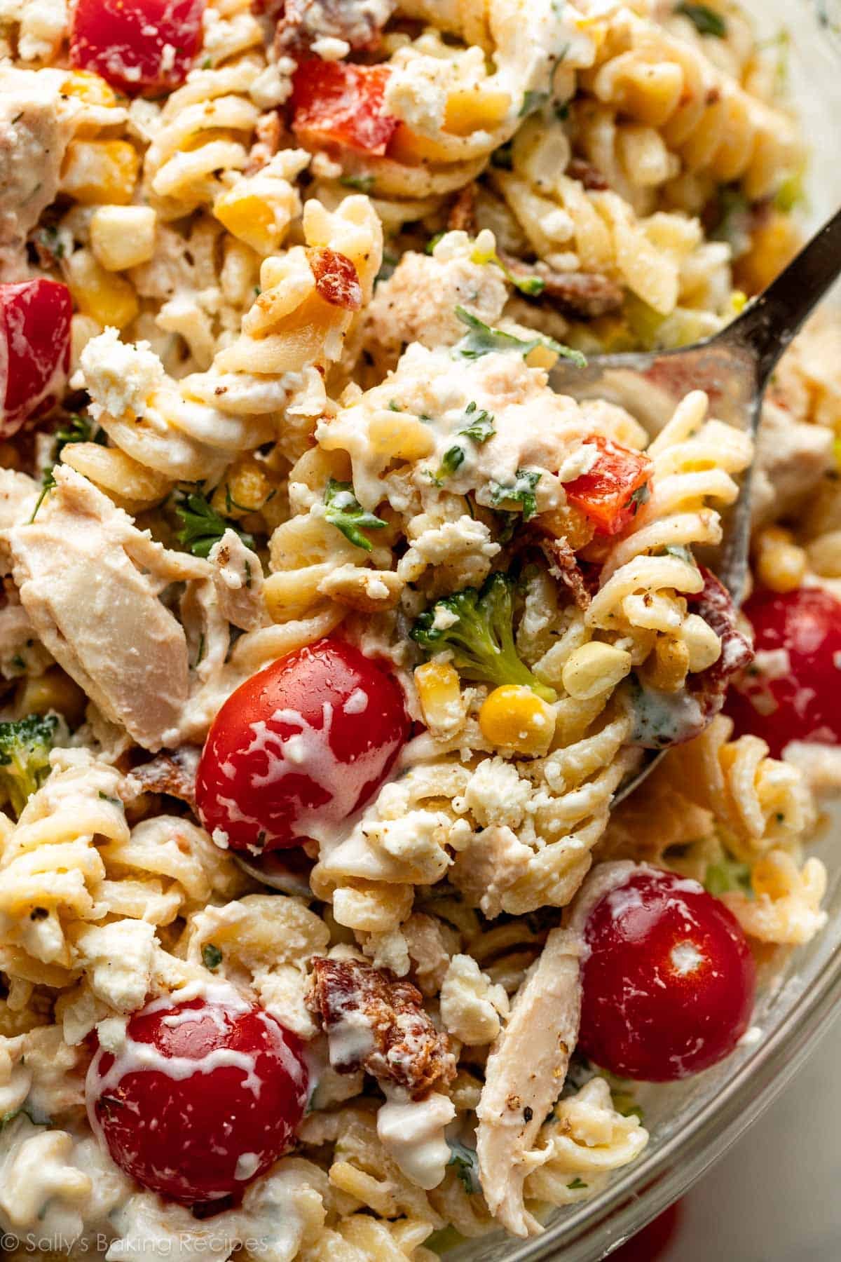 gros plan de salade de pâtes crémeuse avec poulet et tomates cerises