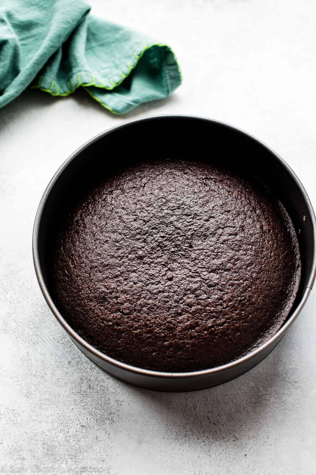 gâteau au chocolat dans un moule après cuisson