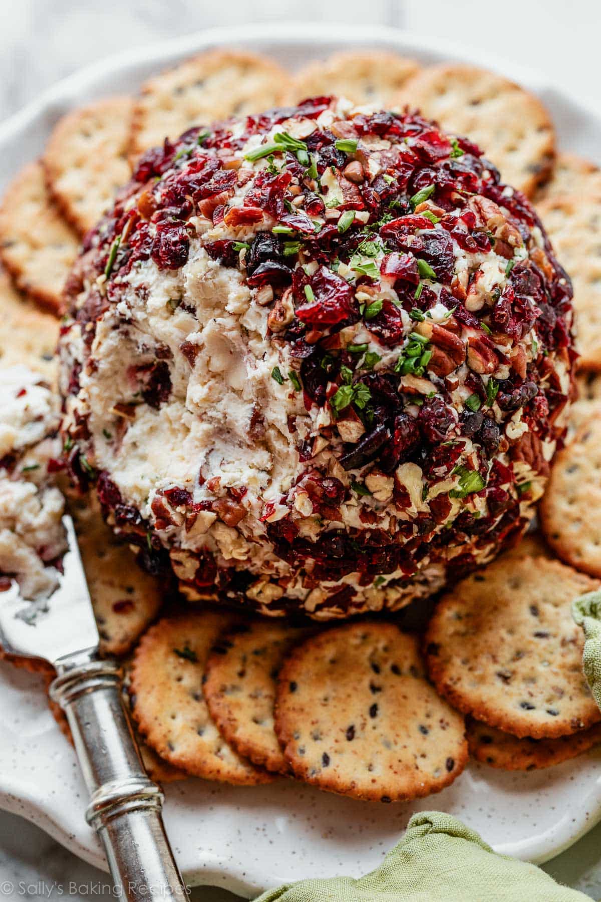 Cranberry Pecan Cheese Ball (Party Favorite!)