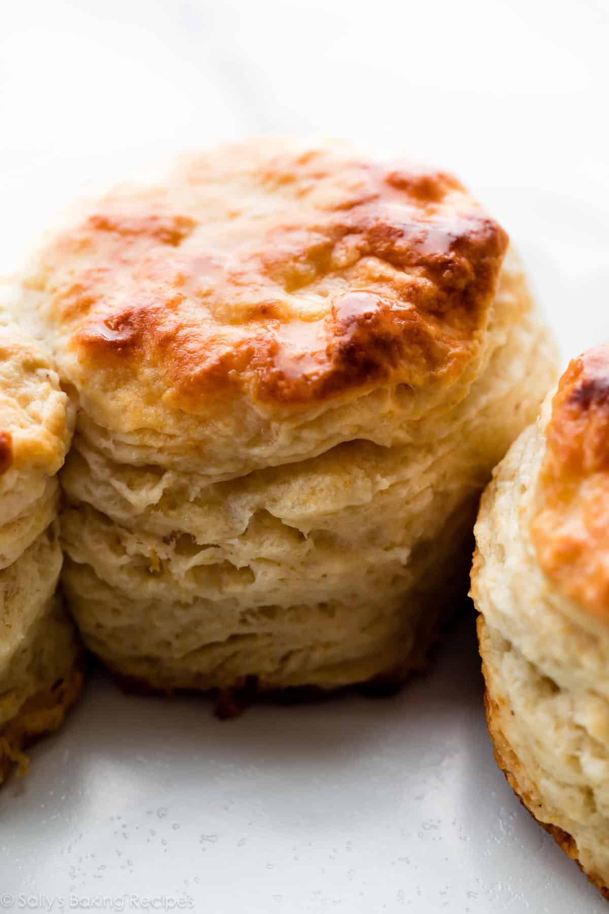 gros plan de biscuit.