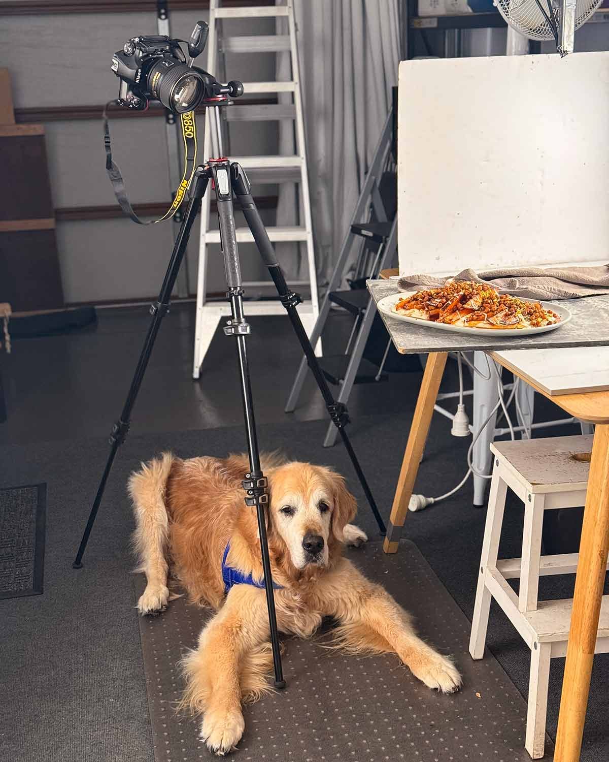 Dozer-salle-de-tournage-6-Juin-2025-1