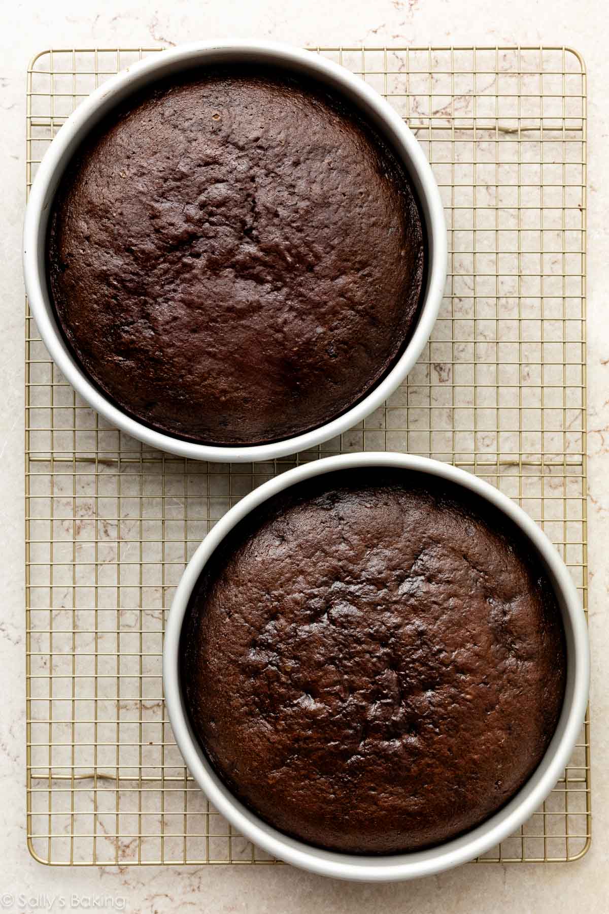 Gâteaux au chocolat dans des moules ronds sur une grille de refroidissement dorée.